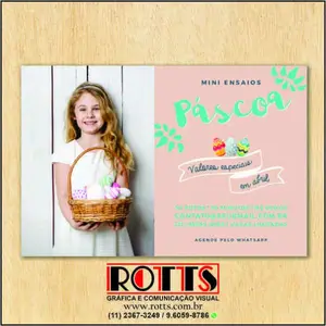 Mini Flyer 115